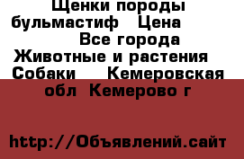 Щенки породы бульмастиф › Цена ­ 25 000 - Все города Животные и растения » Собаки   . Кемеровская обл.,Кемерово г.